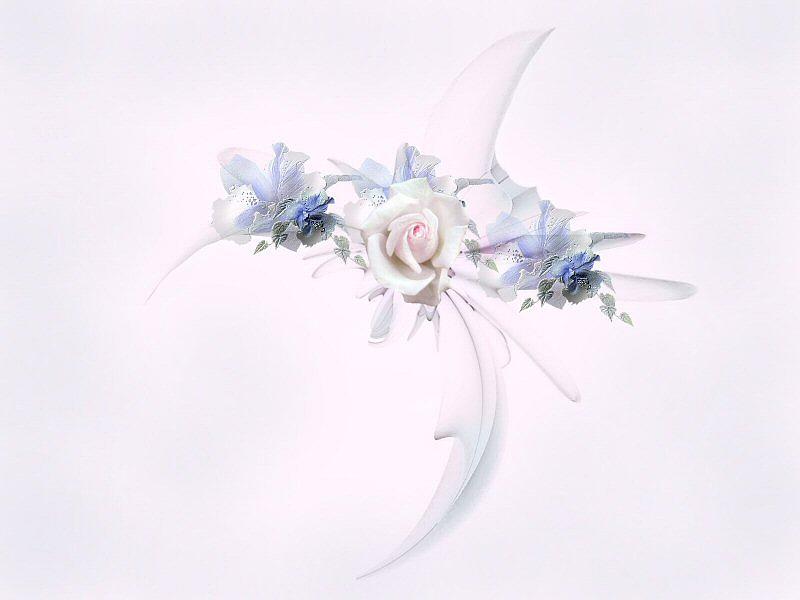 Flower Mixed Media - Enchantment by Diane McCool-Babineau
