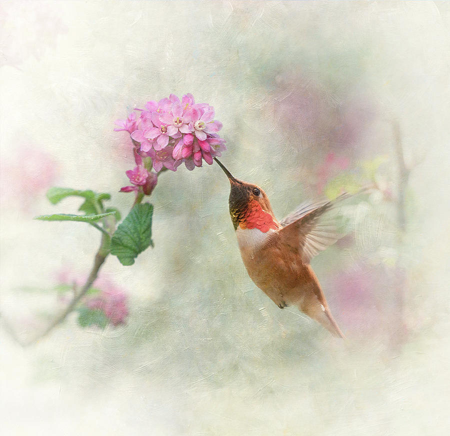 Enchantment in the Garden Photograph by Angie Vogel