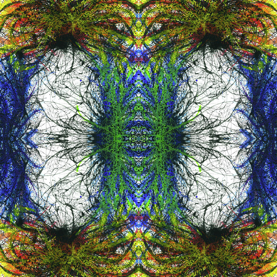 Enchantment Of The Collective Evolution #1508 Mixed Media by Rainbow Artist Orlando L Enchantment Of The Collective Evolution #1508 Mixed Media by Rainbow Artist Orlando L