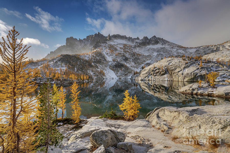 Enchantments Golden Larchscape Winter Approaching Photograph by Mike Reid