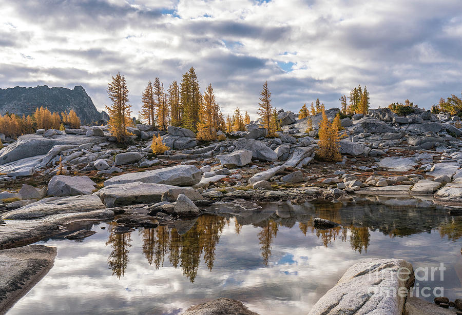 Enchantments Larches and Granite Landscape Photograph by Mike Reid