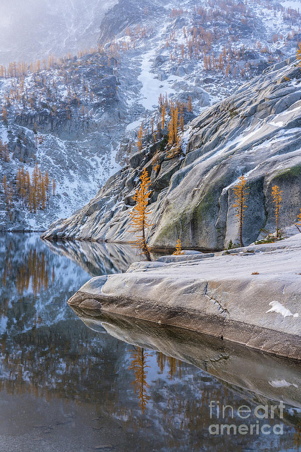 Enchantments Leprechaun Lake Granite Larches Reflection Photograph by Mike Reid