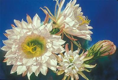 Encore Painting by Mary Backer Encore Painting by Mary Backer