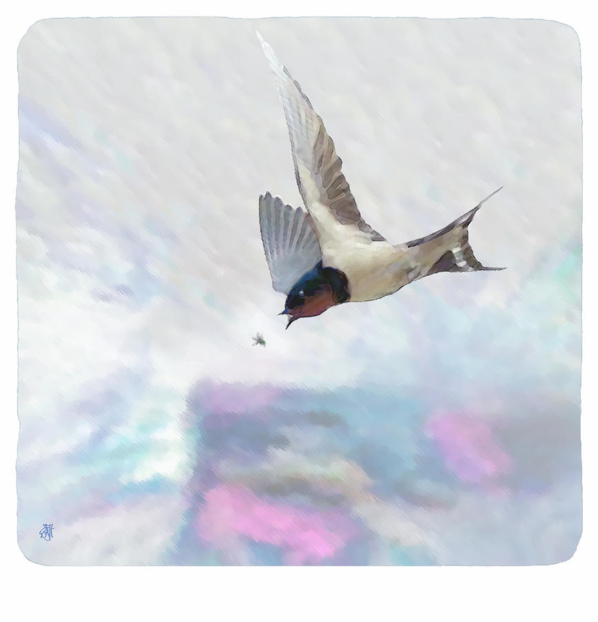 Swallow Digital Art - Encounter by John Helgeson Swallow Digital Art - Encounter by John Helgeson