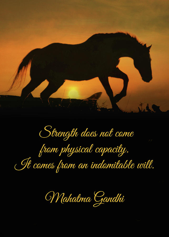 Encouragement Strength Horse in Sunset Photograph by Stephanie Laird