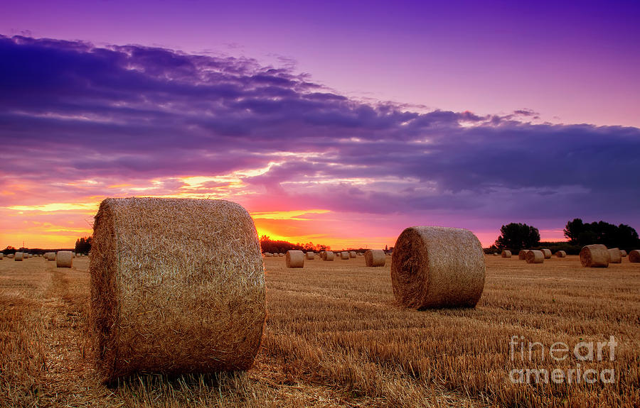 End Of Day Over Field With Hay Bale Photograph By Robert Fesus