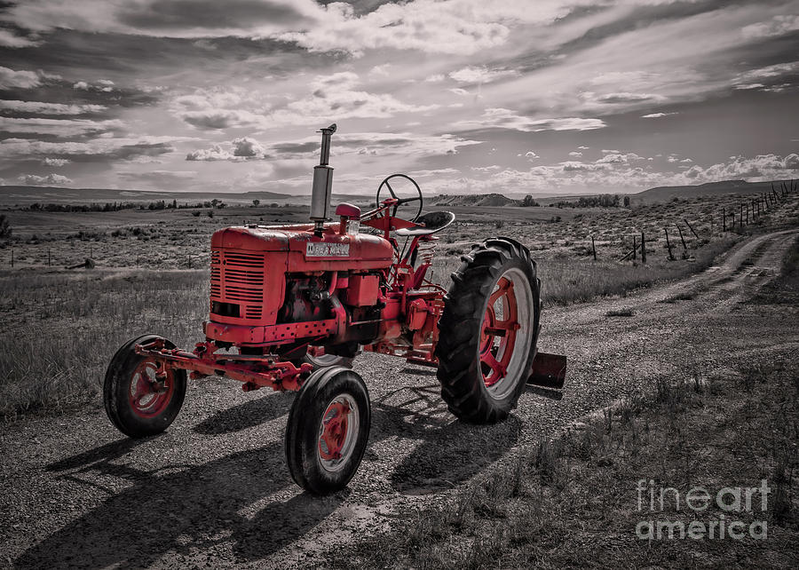 End of Road for Big Red Farmall Photograph by Janice Pariza