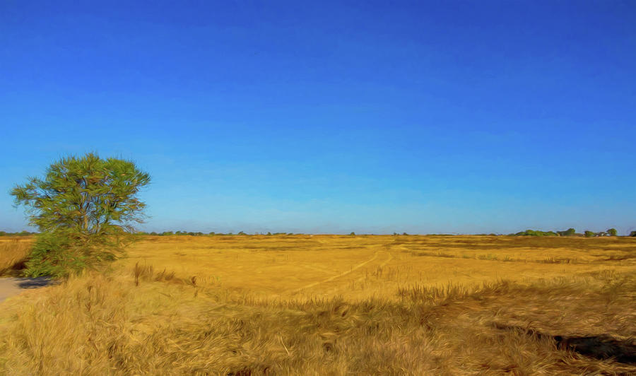 End of Summer on the Wetland Digital Watercolor by Randy Herring End of Summer on the Wetland Digital Watercolor by Randy Herring