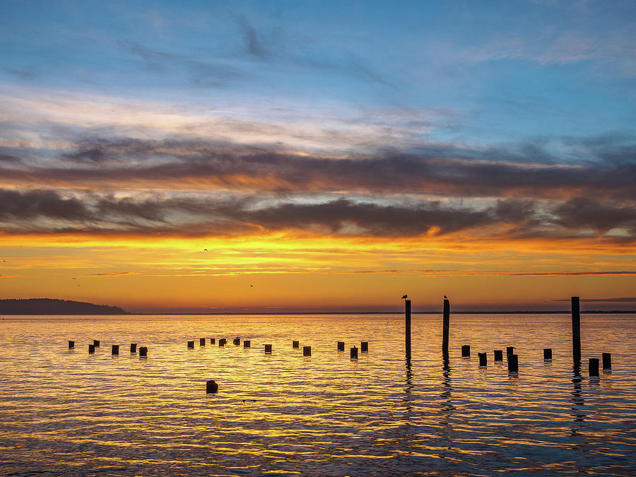 End of the Day on Humboldt Bay Photograph by Greg Nyquist