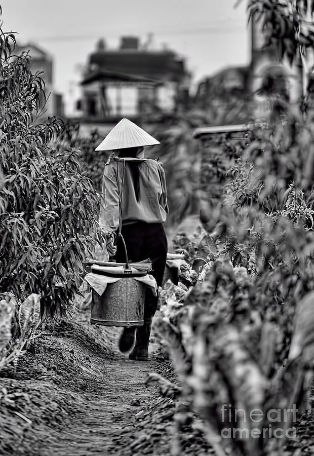 End of the Day Vietnamese Woman  Photograph by Chuck Kuhn