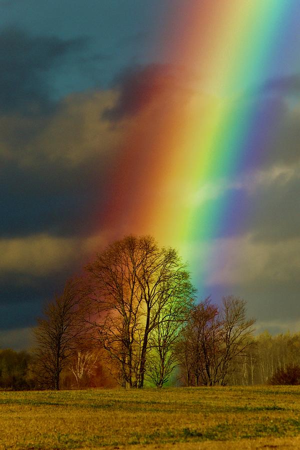 End Of The Rainbow Photograph By Glenn Baja