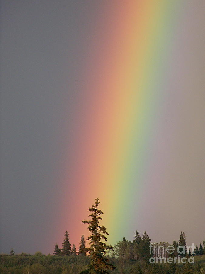 End Of The Rainbow Photograph by Greg Hammond