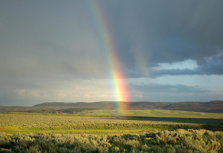 End Of The Rainbow Photograph