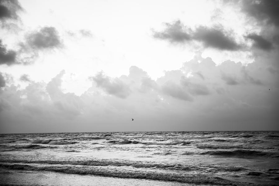 Seagull Photograph - End of the Season Padre 16 by Mez