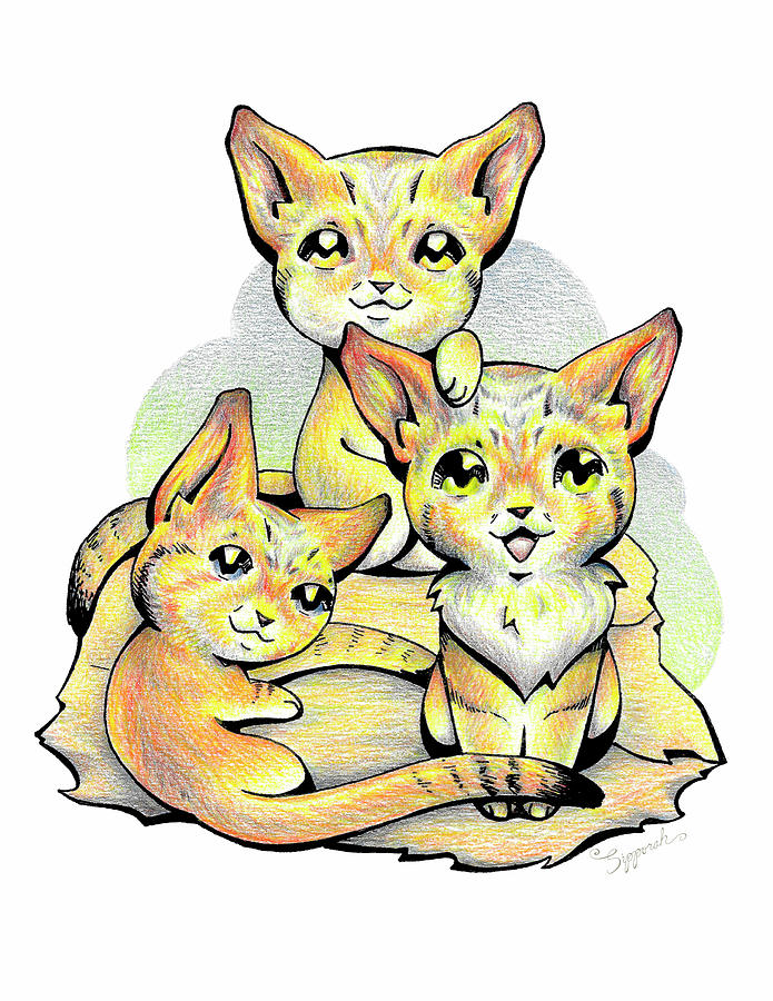 Endangered Animal Sand Cat Drawing by Sipporah Art and Illustration