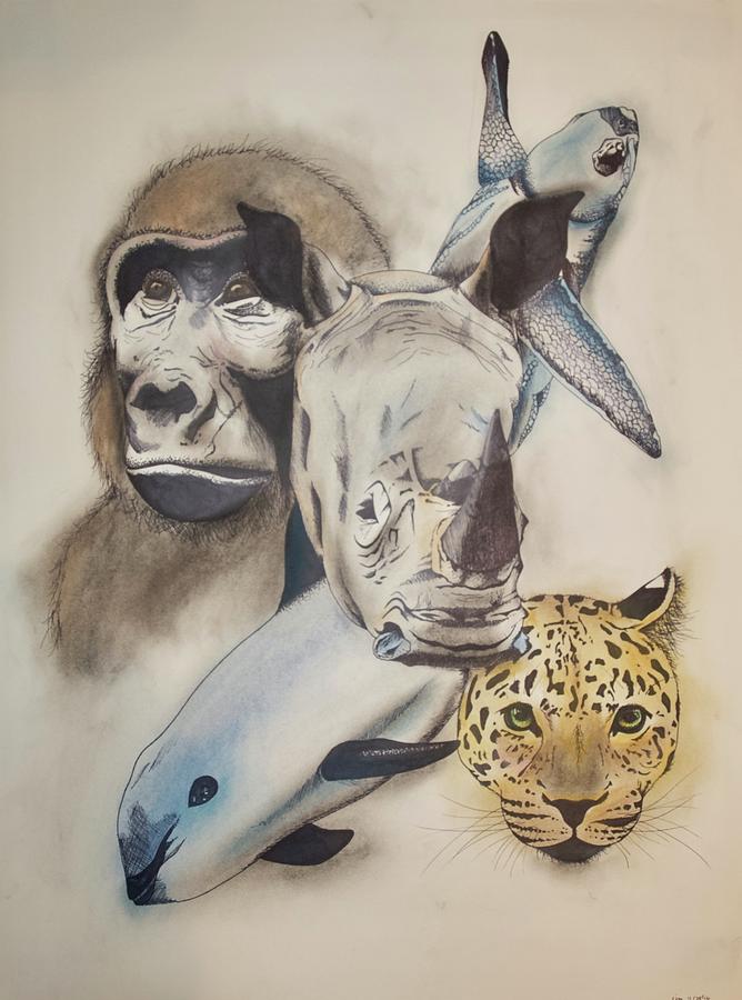 Endangered Drawing by Caitlin Mitchell Fine Art America