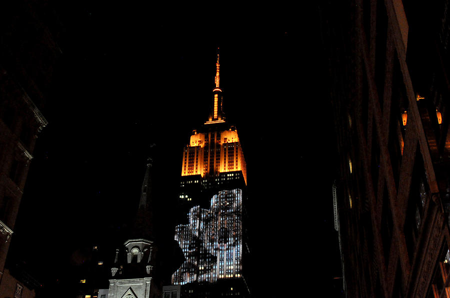 Endangered Species Light Show on the Empire State Building Photograph by Diane Lent