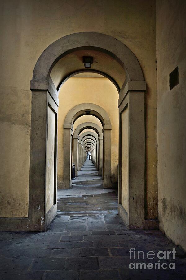 Endless Arches Photograph by Patricia Strand