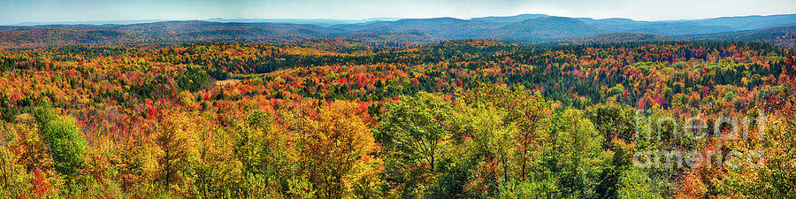 Fall Photograph - Endless Autumn Foliage by George Oze