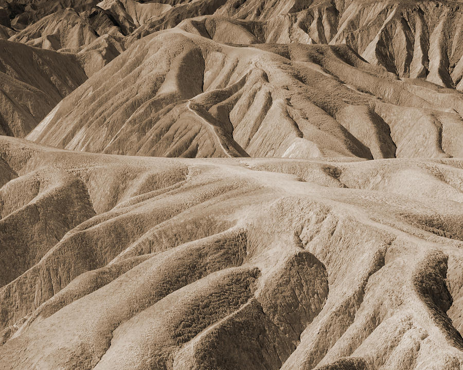 Endless Desert Photograph by Pamela Peters