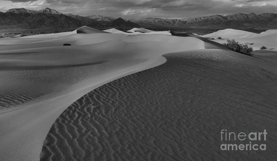 Death Valley National Park Photograph - Endless Dunes Black And White by Adam Jewell