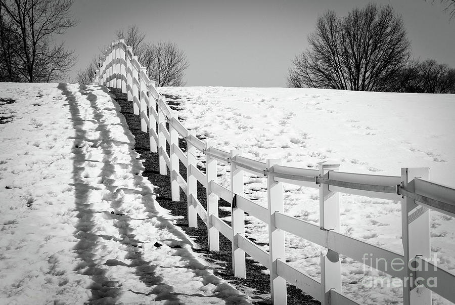 Endless Fences in Black and White Rural Landscape Photograph Photograph by PIPA Fine Art - Simply Solid