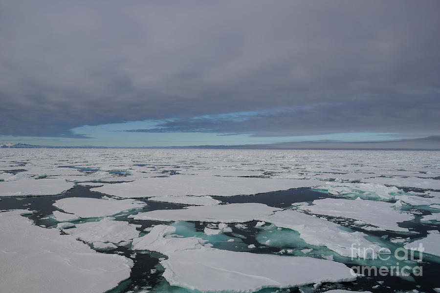 Endless Ice Photograph by Brian Kamprath