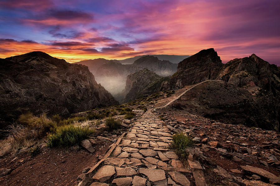 Endless path Photograph by Jorge Maia