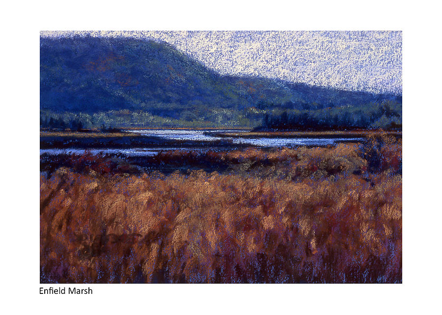 Enfield Marsh Pastel by Betsy Derrick