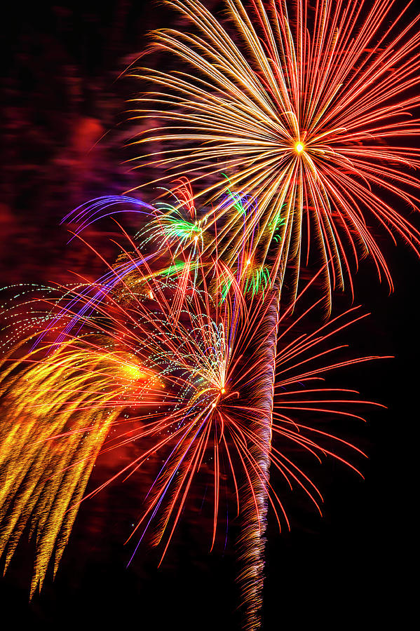 Engaging Colorful fireworks Photograph by Garry Gay