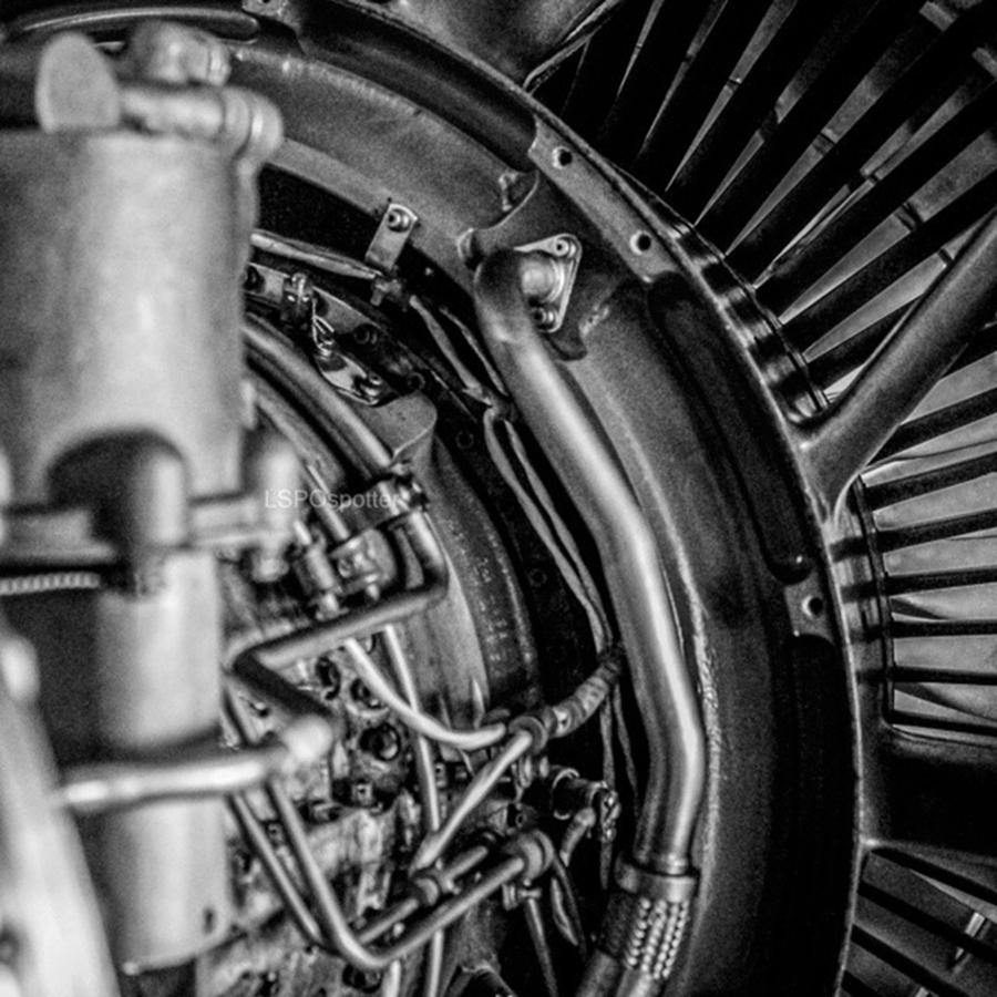 Airbus Photograph - Engine
-
#airbus #a320 #cfm65 #engine by Mike Wyss