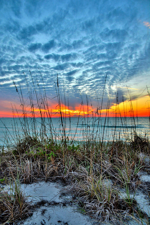 Englewood Beach Photograph by Alison Belsan Horton | Fine Art America