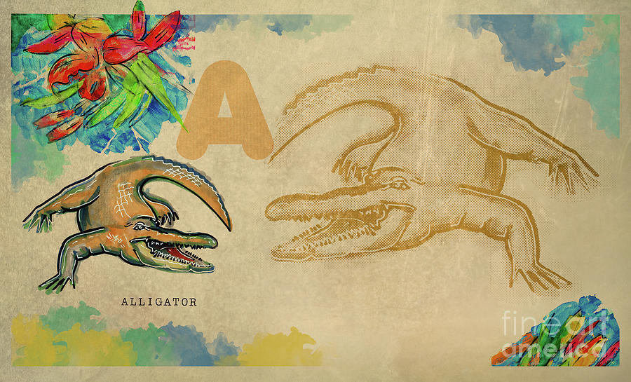 English alphabet , Alligator  Drawing by Ariadna De Raadt