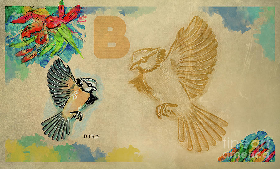English alphabet , Bird Drawing by Ariadna De Raadt