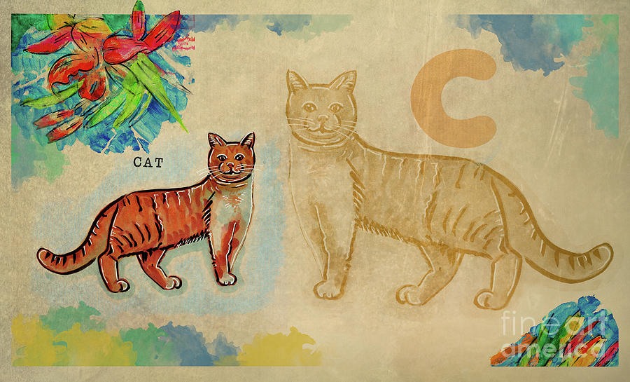 English alphabet , Cat Drawing by Ariadna De Raadt