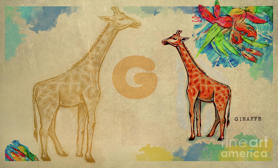 English alphabet , Giraffe Drawing by Ariadna De Raadt