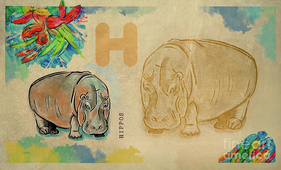English alphabet ,  Hippos Drawing by Ariadna De Raadt