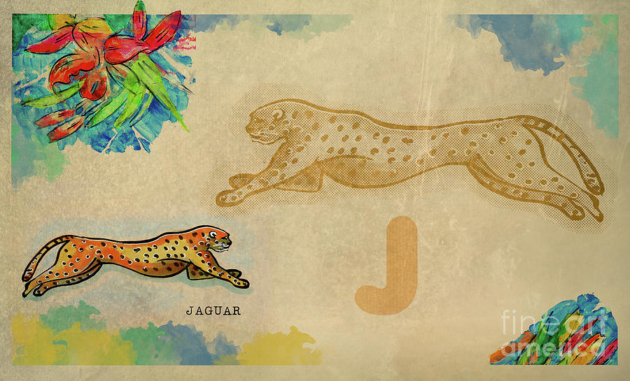 English alphabet , Jaguar Drawing by Ariadna De Raadt