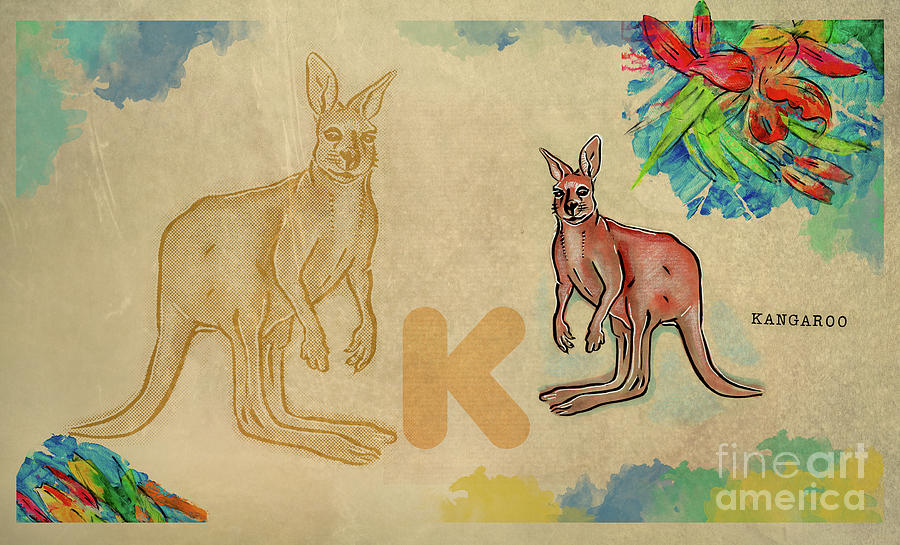 English alphabet , Kangaroo Drawing by Ariadna De Raadt