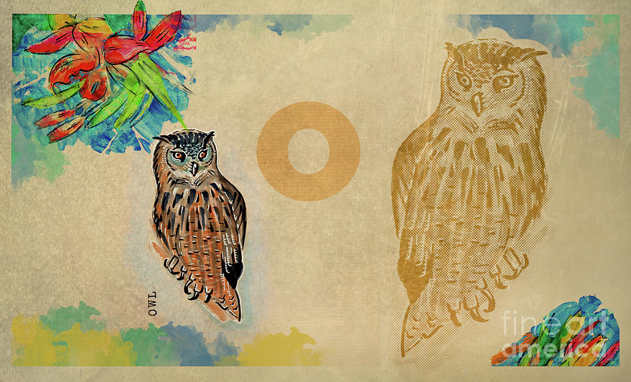 English alphabet , Owl Drawing by Ariadna De Raadt