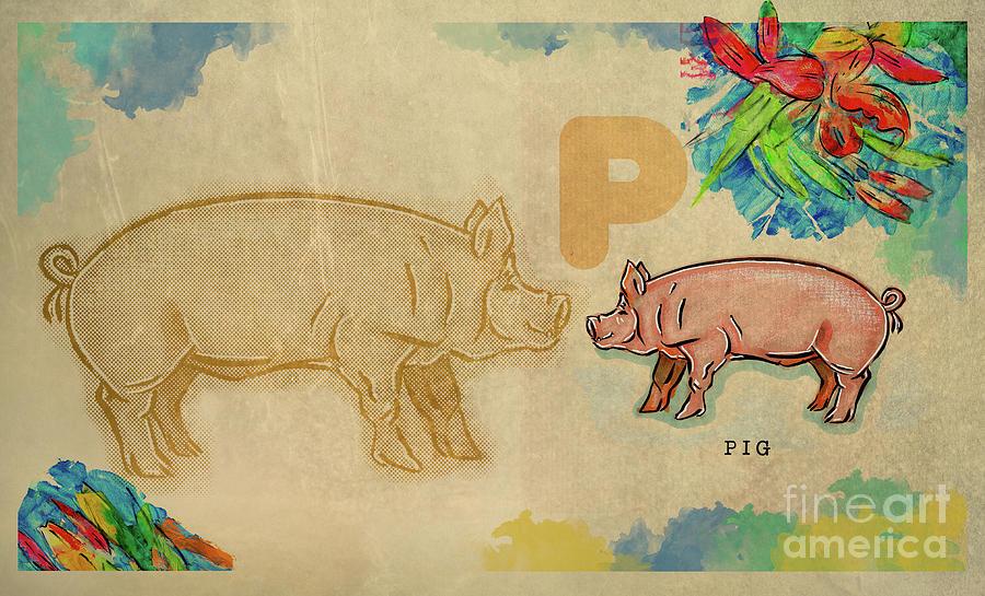 English alphabet , Pig Drawing by Ariadna De Raadt