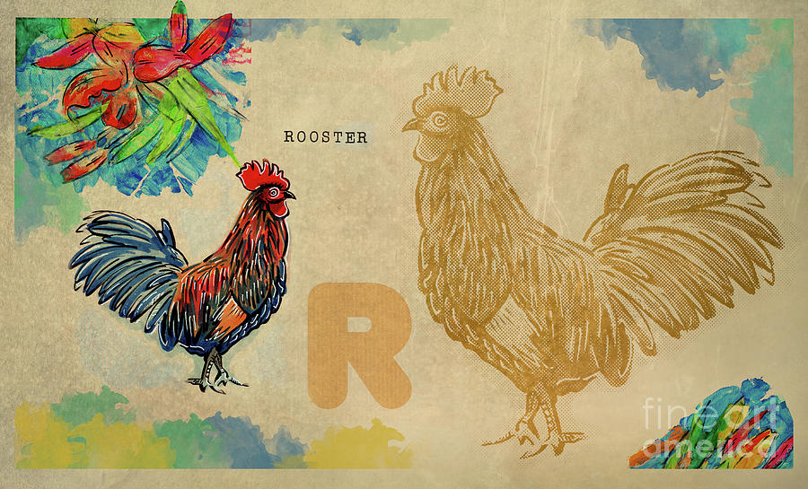 English alphabet , Rooster  Drawing by Ariadna De Raadt