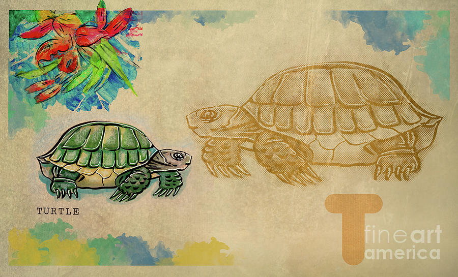 English alphabet , Turtle  Drawing by Ariadna De Raadt
