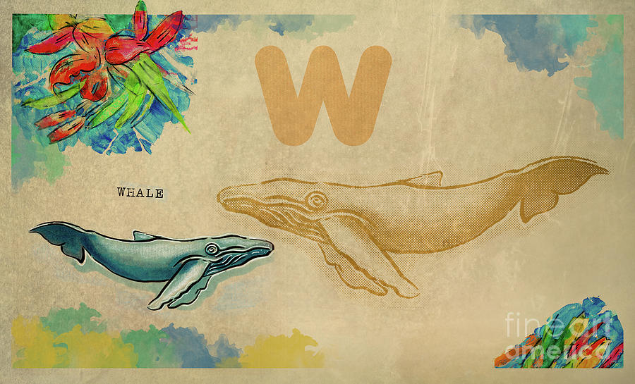English alphabet , Whale Drawing by Ariadna De Raadt