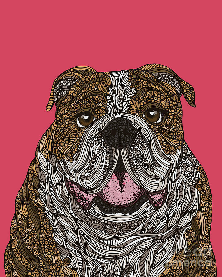 English Bulldog Digital Art - English Bulldog by MGL Meiklejohn Graphics Licensing