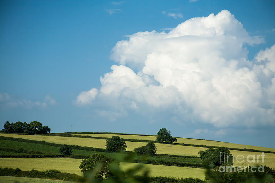English Countryside in Summer Photograph by Jan Bickerton