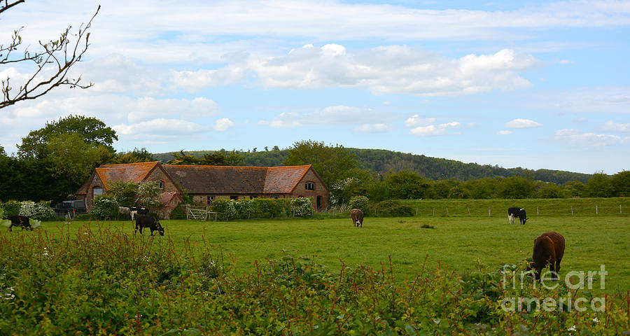 English Countryside Panoramic Photograph by Tatyana Searcy