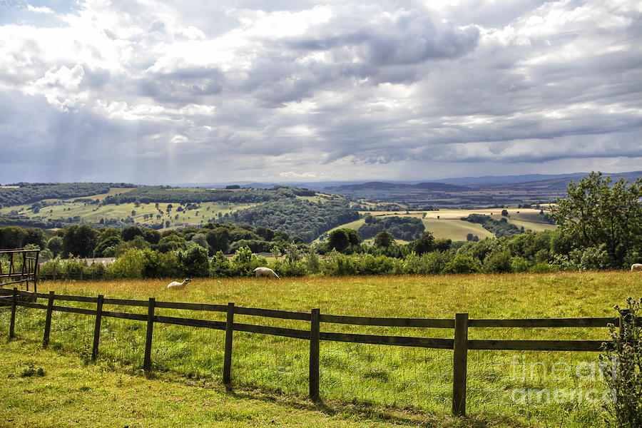 English countryside Photograph by Patricia Hofmeester