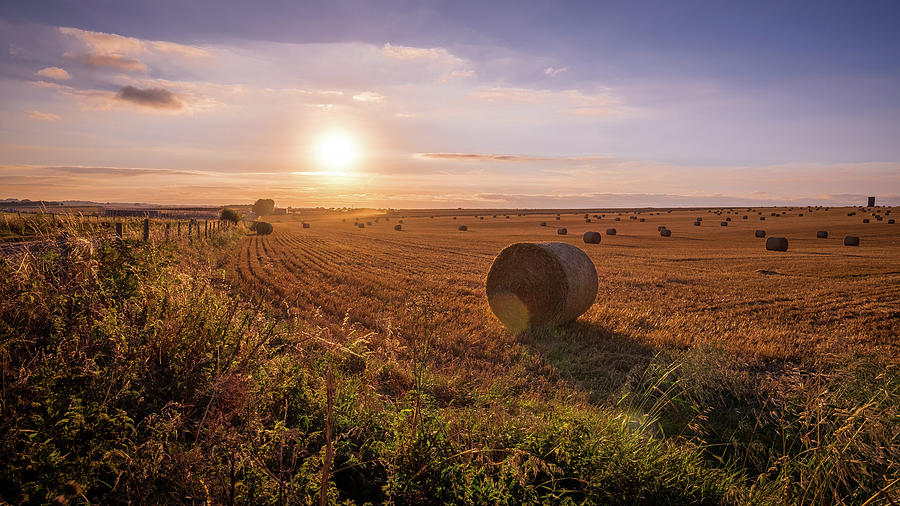 English countryside - Shrewton, United Kingdom - Landscape photography Photograph by Giuseppe Milo