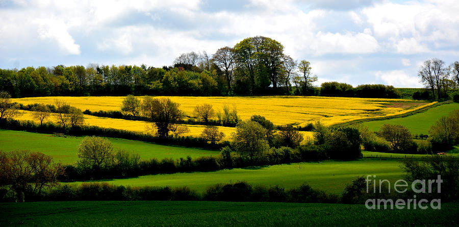 English Countryside Photograph by Tatyana Searcy